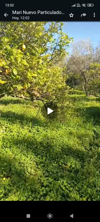 Parcela rustica en Pilas