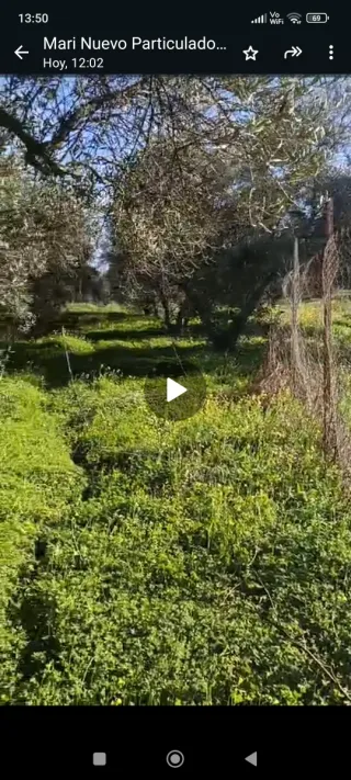 Parcela rustica en Pilas