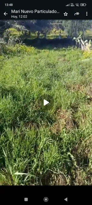 Parcela rustica en Pilas