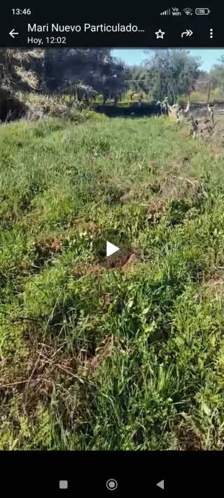 Parcela rustica en Pilas