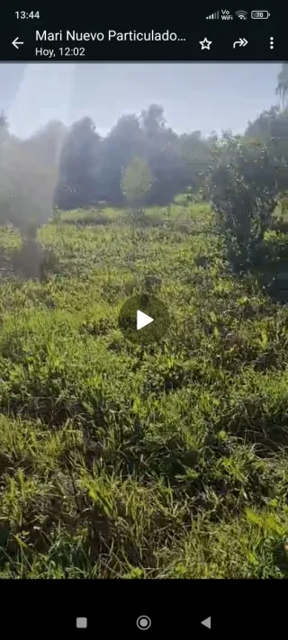 Parcela rustica en Pilas