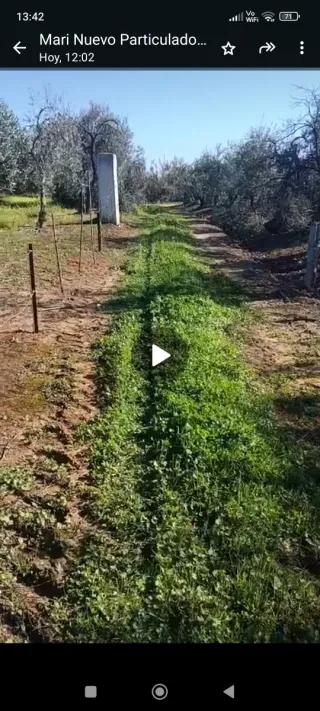 Parcela rustica en Pilas