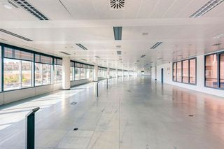 Oficina en alquiler en Sanchinarro en Madrid