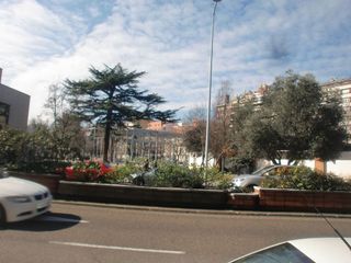 Local comercial en alquiler en Campo de la Juventud en Palencia