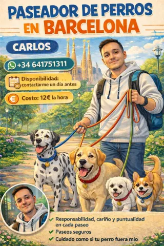 Paseador de perros
