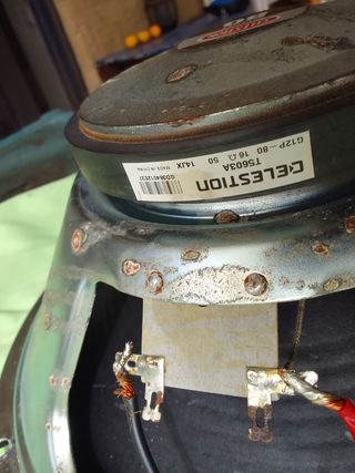 Celestion G12 P80 Altavoz Guitarra