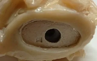 Copri accendino BIC piccolo intagliato *hand made*