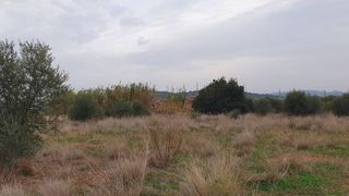 Terreno en venta en Vall d´Uixó (la)