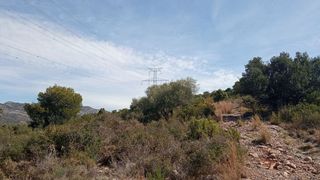 Solar en venta en Borriol