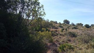 Solar en venta en Borriol