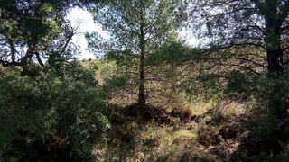 Solar en venta en Borriol