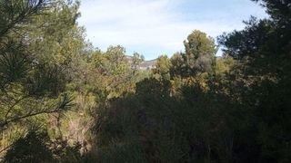 Solar en venta en Borriol