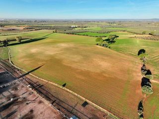 Solar en venta en Carmona