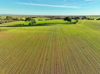 Solar en venta en Carmona