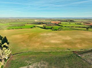 Solar en venta en Carmona