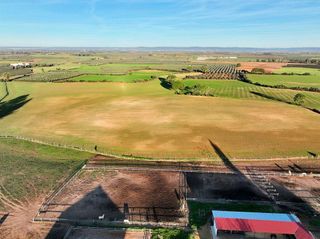 Solar en venta en Carmona