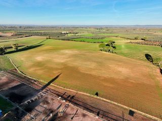 Solar en venta en Carmona