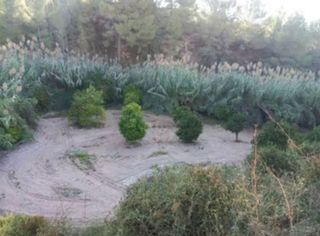 Terreno en venta en Benissa