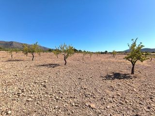 Terreno en venta en Novelda