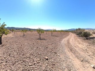 Terreno en venta en Novelda