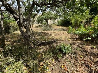 Terreno en venta en Miraflores de la Sierra