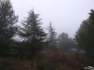 Terreno en venta en Lucena