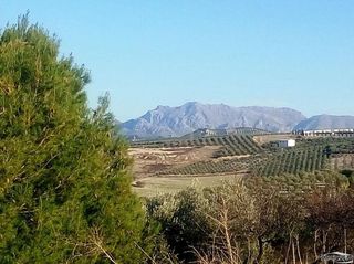 Terreno en venta en Lucena