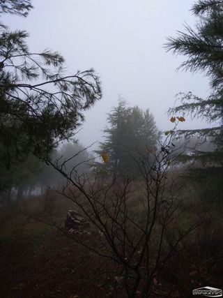 Terreno en venta en Lucena