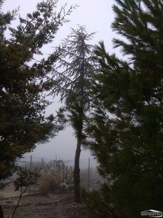 Terreno en venta en Lucena