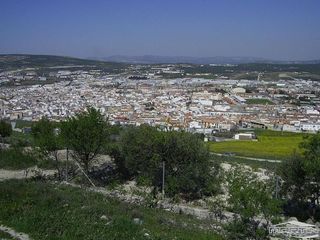 Terreno en venta en Lucena
