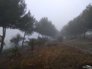 Terreno en venta en Lucena