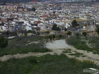 Terreno en venta en Lucena
