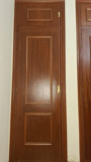 Puertas de armario de madera