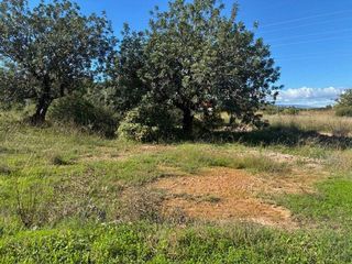 Terreno en venta en Vilamarxant