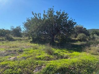 Terreno en venta en Vilamarxant