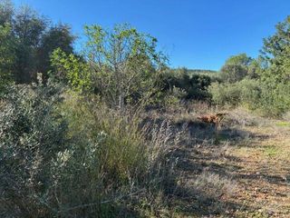 Terreno en venta en Vilamarxant
