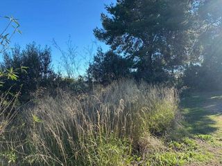 Terreno en venta en Vilamarxant
