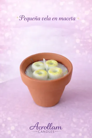 Velas y Wax Melts Aromáticos @acrollamcandles