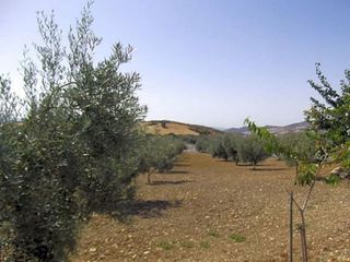 Chalet en venta en Centro en Antequera