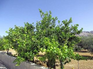 Chalet en venta en Centro en Antequera