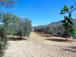 Chalet en venta en Centro en Antequera