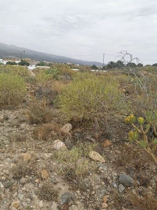Terreno en venta en Granadilla de Abona ciudad en Granadilla de Abona