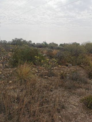 Terreno en venta en Granadilla de Abona ciudad en Granadilla de Abona