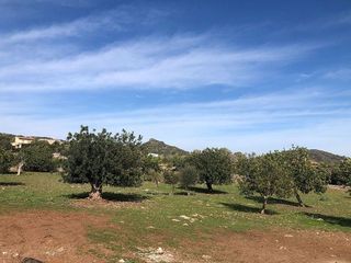 Solar en venta en Son Servera