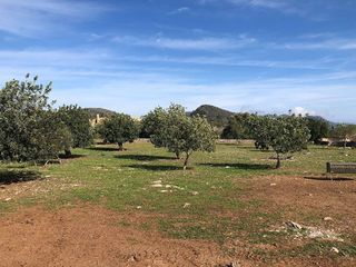 Solar en venta en Son Servera