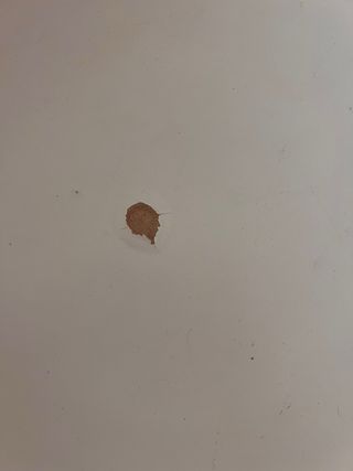 Mesa auxiliar IKEA redonda