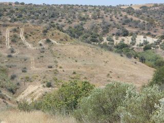 Terreno en venta en Bonares