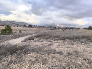 Terreno en venta en Pinós