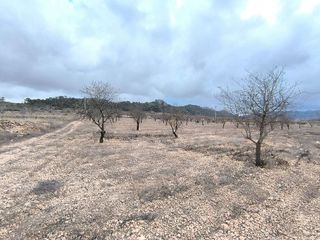 Terreno en venta en Pinós