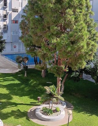 Piso en venta en Zona Puerto Deportivo en Fuengirola